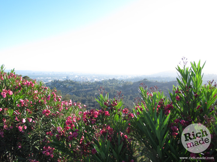 Richmade Tuesday Evening Hike at Griffith Park with Amandabot