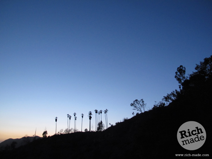 Richmade Tuesday Evening Hike at Griffith Park with Amandabot